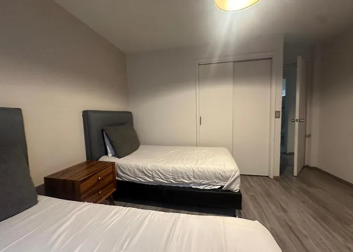 Urban Comfort In Roma Norte - Laundry- Fast Wifi- Mexico City